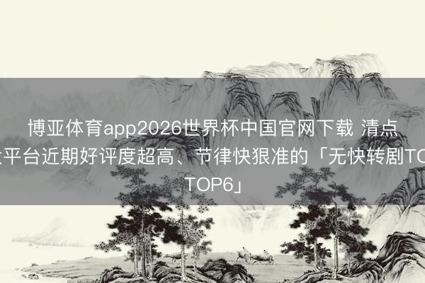 博亚体育app2026世界杯中国官网下载 清点各大平台近期好评度超高、节律快狠准的「无快转剧TOP6」